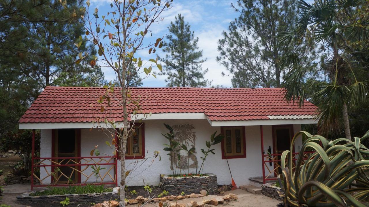 Pine Ridge Lodge Сан Игнасио Екстериор снимка