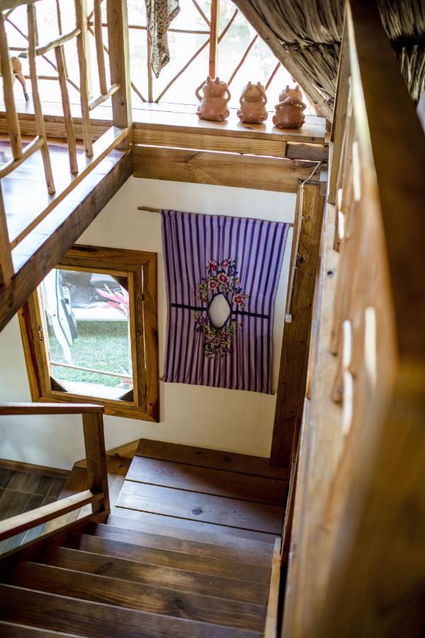 Pine Ridge Lodge Сан Игнасио Екстериор снимка